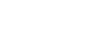 Vizory